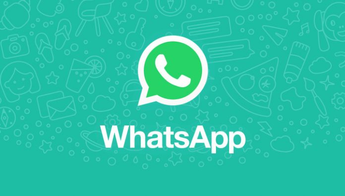WhatsApp can 